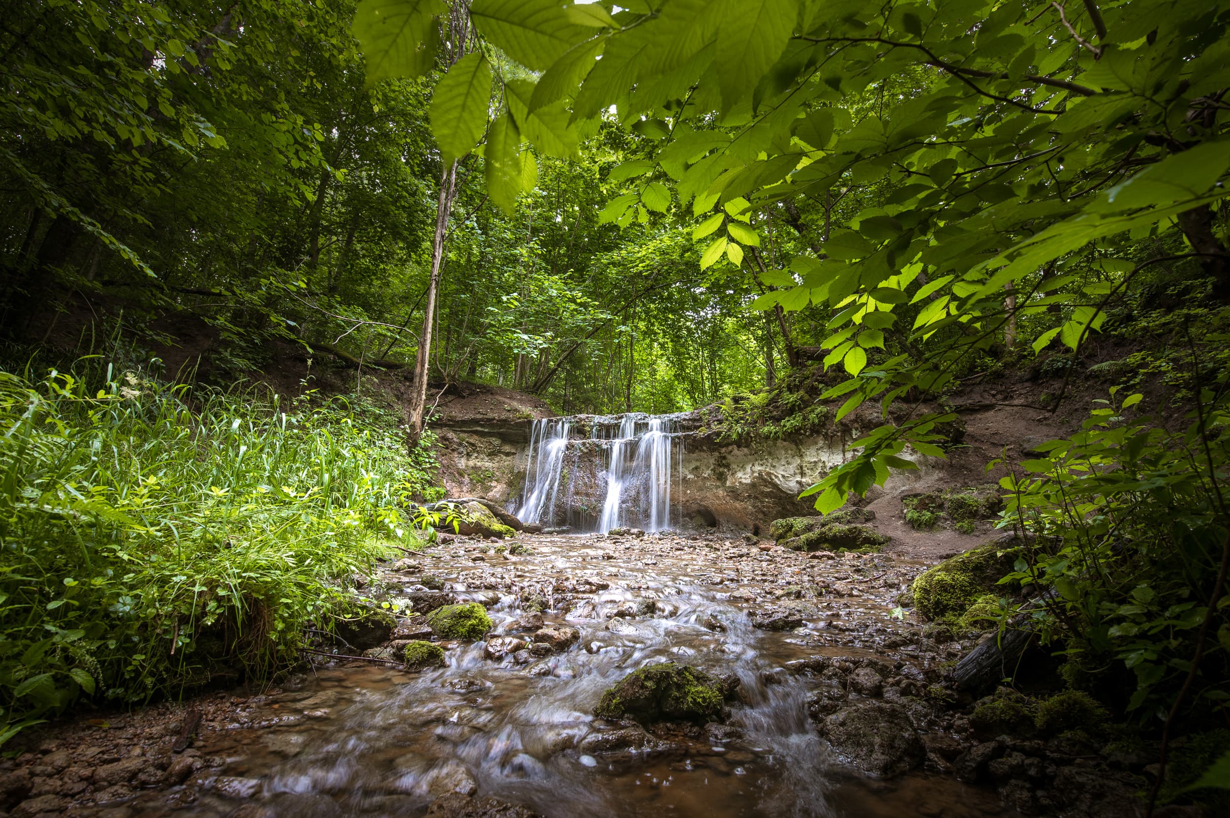 Ainavas Latvijas Dabas foto -Ainavas, Dzīvnieki un drona fotogrāfijas.