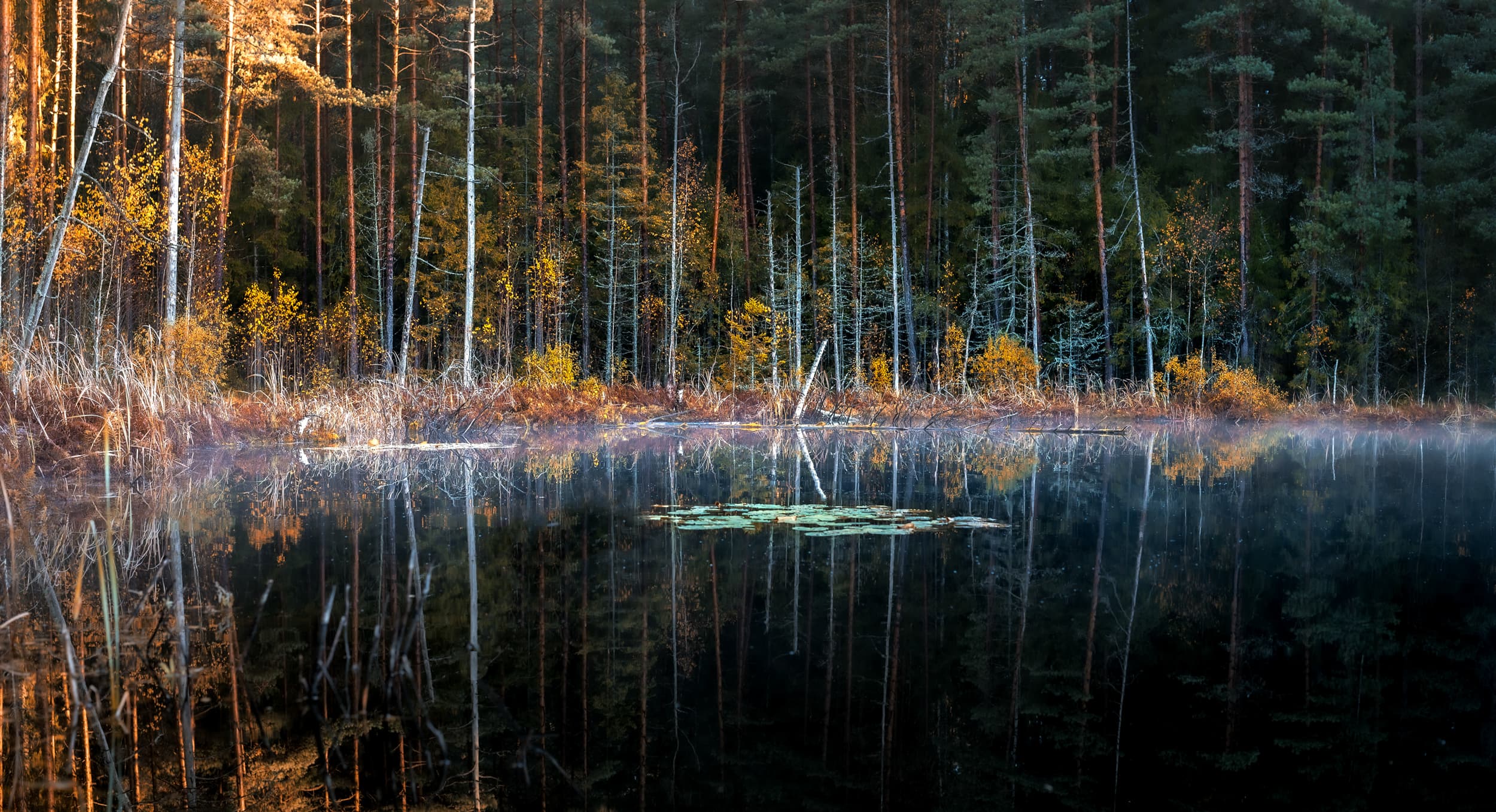 Ainavas Latvijas Dabas foto -Ainavas, Dzīvnieki un drona fotogrāfijas.
